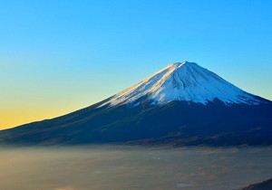 荣耀手机验证真伪查询 荣耀序列号查询入口